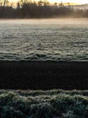 My seven stunning an