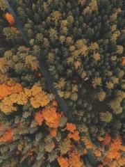 lt;Ye Qingyun, Tiany