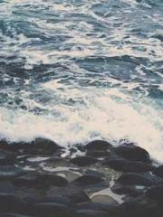 Mr. Shen, overdue an