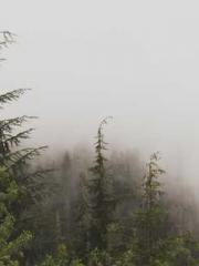 Falling for You: The