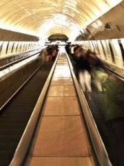 A Spicy Wife from th