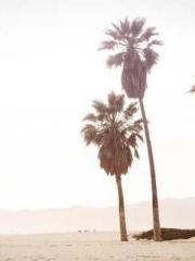 Two Treasures Arrive