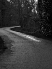 Lu Wanwan Li Jingche