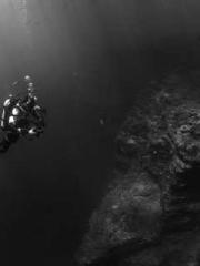 lt;lt;lt;The Peerles