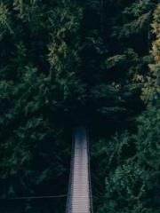 The Sovereign of the