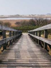 The Wife of My Heart