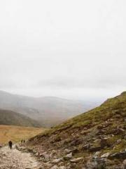 The Rough Man Hunter