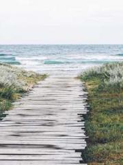 A Spicy Wife from th