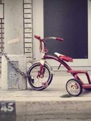 The Rebirth of a Phy