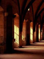 lt;Marry at first si