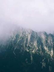 RONG Zhaonan NING Yu