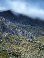 The Undefeated Son-i