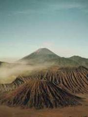 The Rough Man Hunter