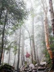 lt;Liang Yimo Cold N