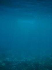 My husband is the Ki