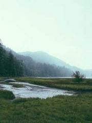 Super Dimensional Me