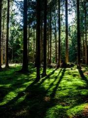 lt;lt;The Heavenly D