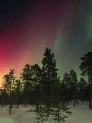 The Uncle Emperor Do