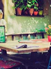 The Poisonous Doctor