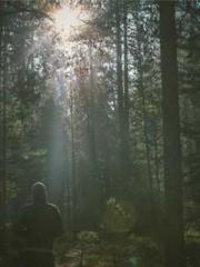 Eternal Sword Ancest