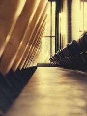 The Beloved Physicia