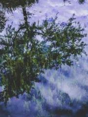 lt;Dragon King Legen