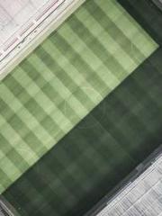 lt;lt; The Divine Do